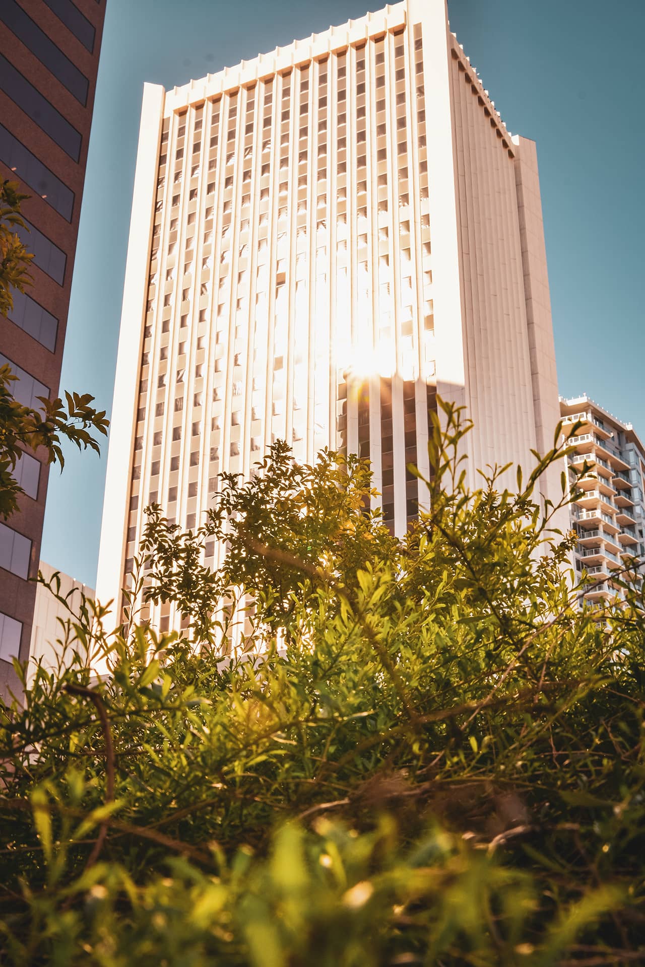 Valiantis photography sample for local business website content